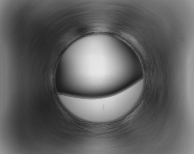 X0000089391225200706150925