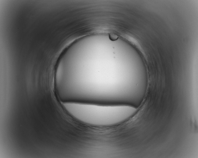 X0000089391227200706150925