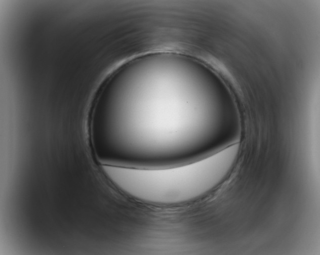 X0000089391230200706150925
