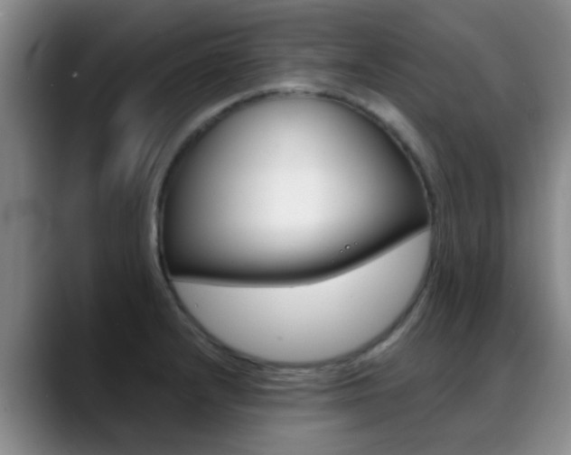 X0000089391232200706150925