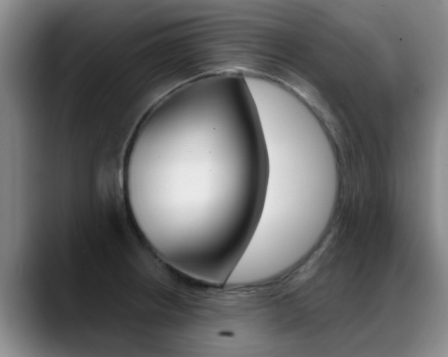 X0000089391234200706150925