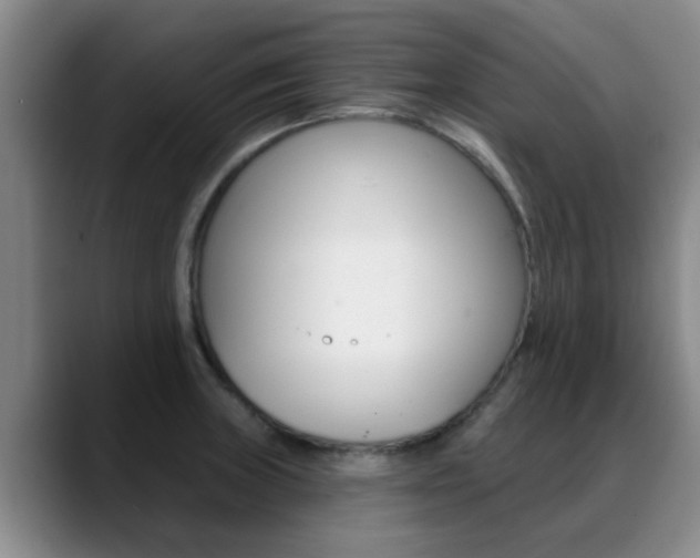 X0000089391235200706150925