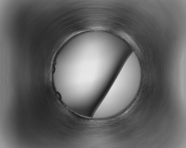 X0000089391236200706150925