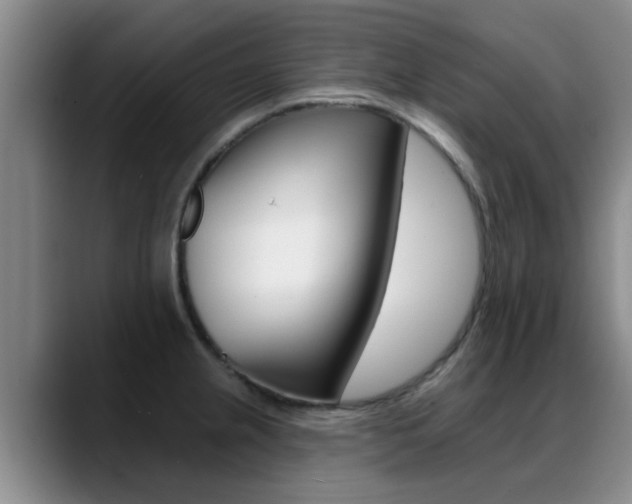 X0000089391237200706150925