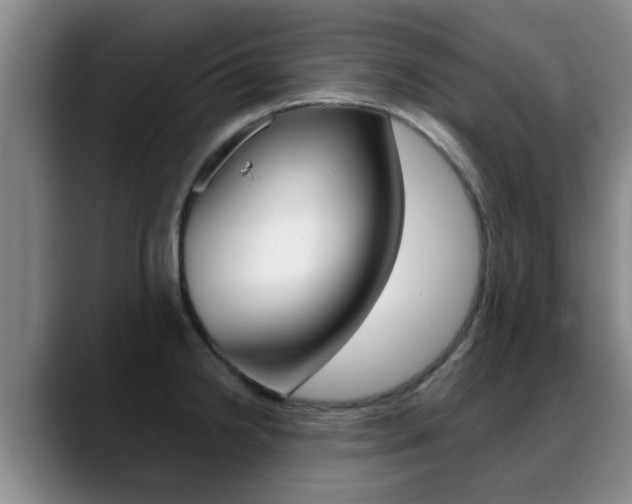 X0000089391238200706150925
