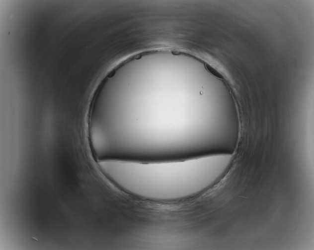 X0000089391239200706150925