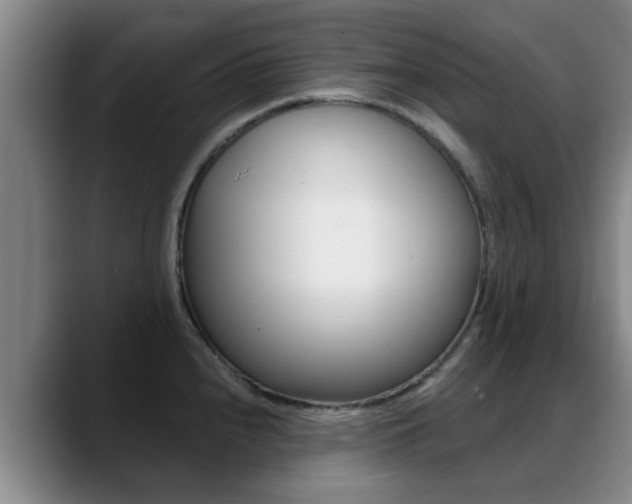 X0000089391240200706150925