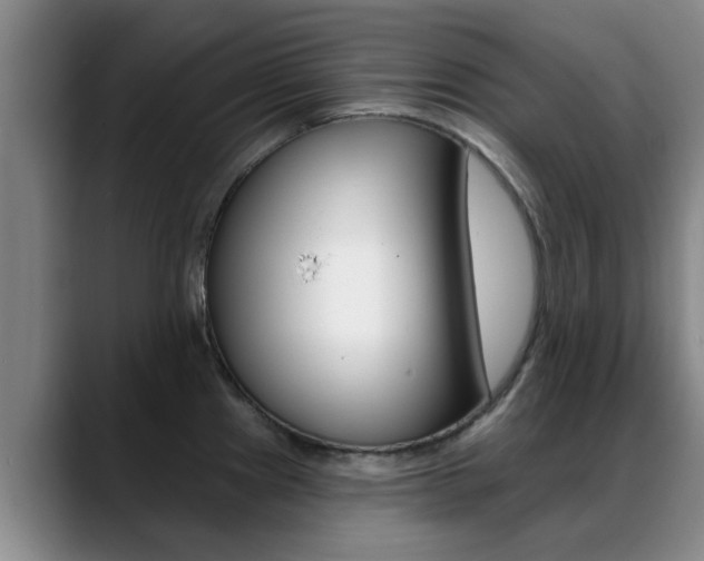 X0000089391241200706150925