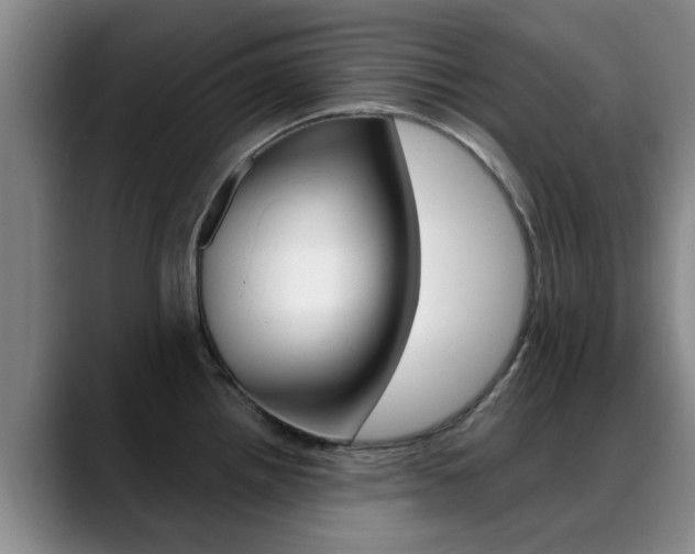 X0000089391242200706150925