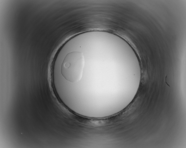 X0000089391243200706150925