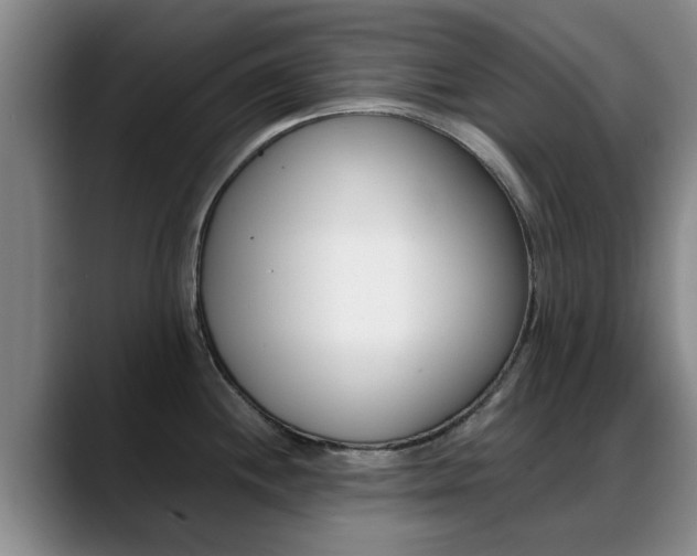 X0000089391244200706150925