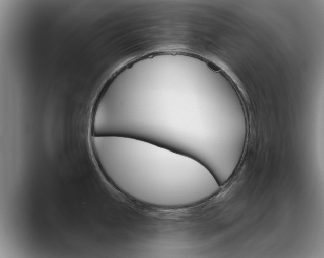 X0000089391245200706150925