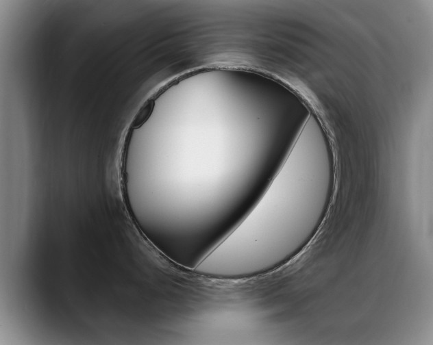 X0000089391248200706150925