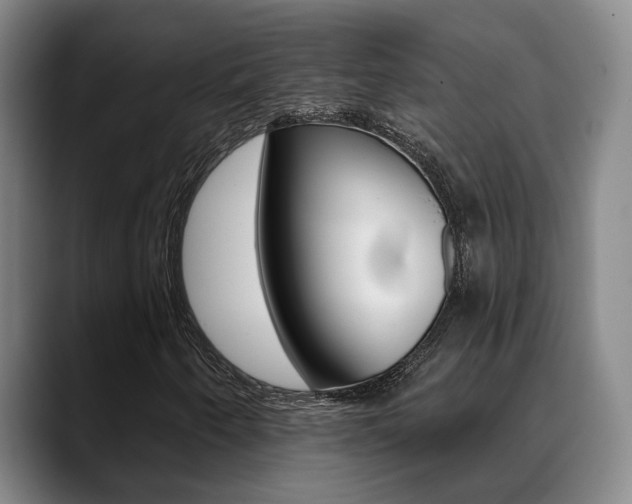 X0000089391250200706150924