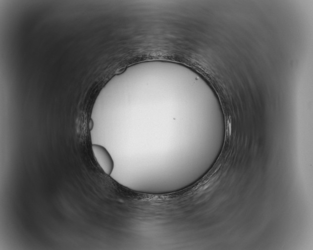 X0000089391251200706150924