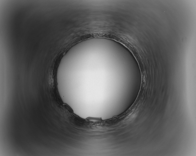 X0000089391252200706150924