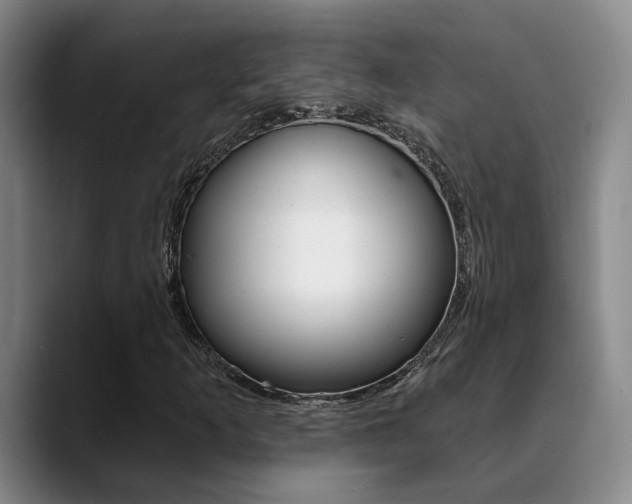X0000089391253200706150924