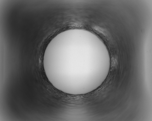 X0000089391254200706150924