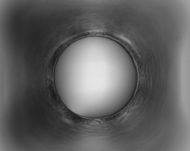 X0000089391255200706150924