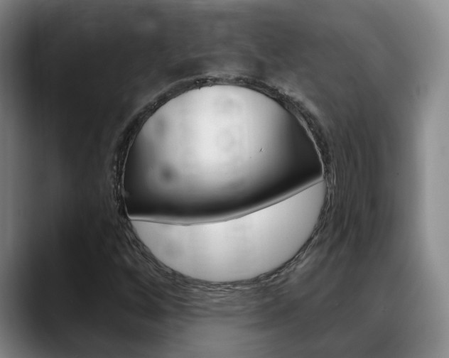 X0000089391256200706150924