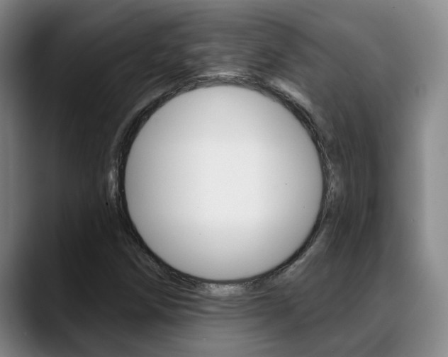 X0000089391258200706150924