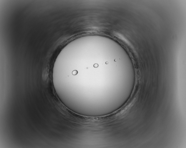 X0000089391259200706150924