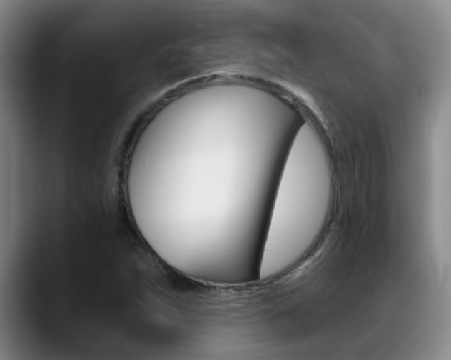 X0000089391263200706150924