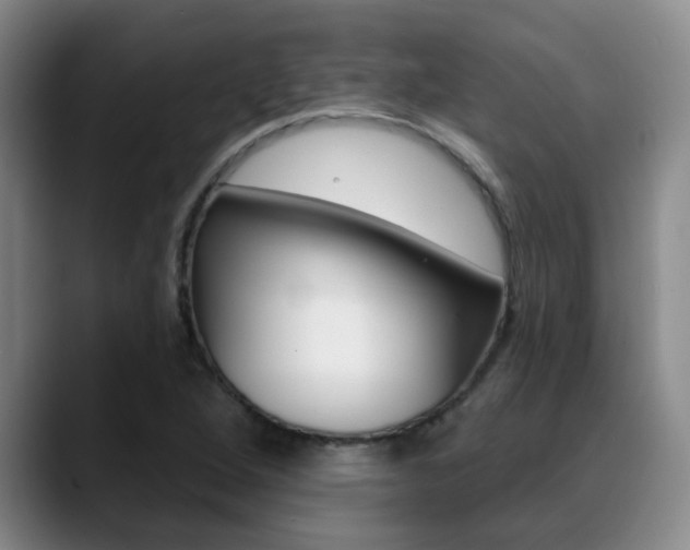 X0000089391264200706150924