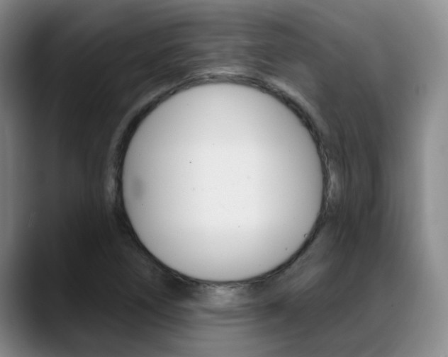 X0000089391266200706150924