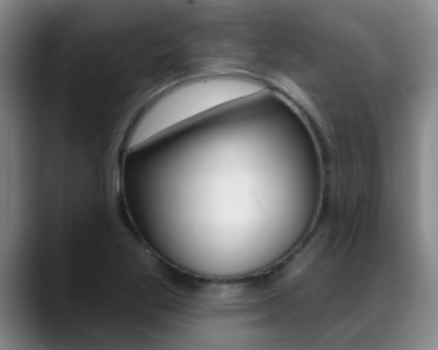 X0000089391269200706150924
