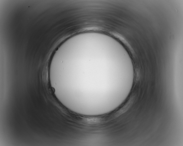 X0000089391274200706150924