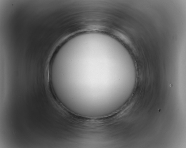 X0000089391275200706150924
