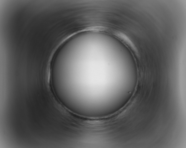 X0000089391276200706150924