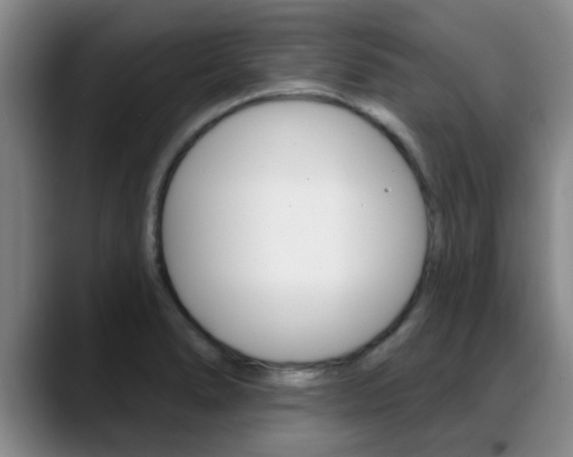 X0000089391278200706150924