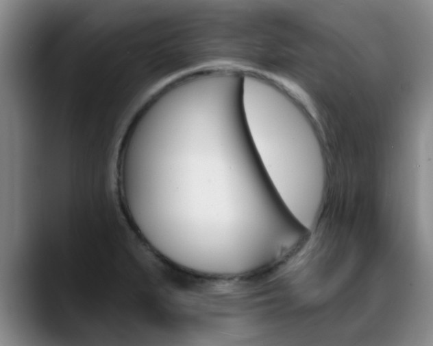 X0000089391279200706150924
