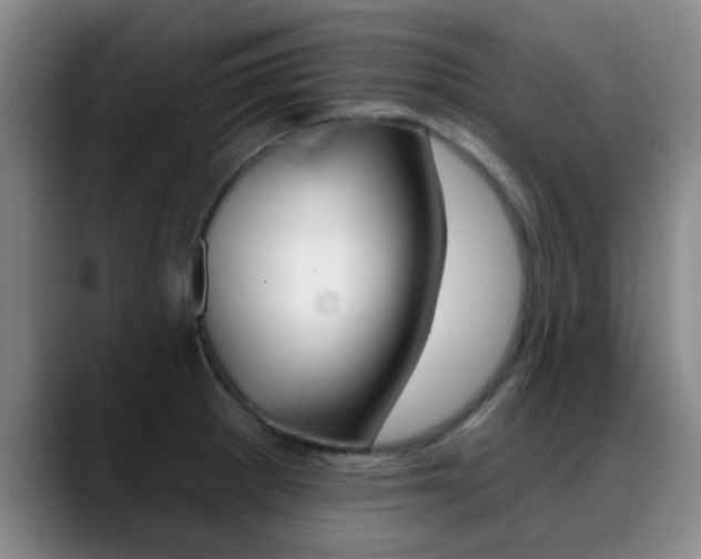 X0000089391281200706150924