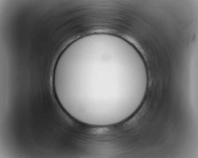 X0000089391282200706150924