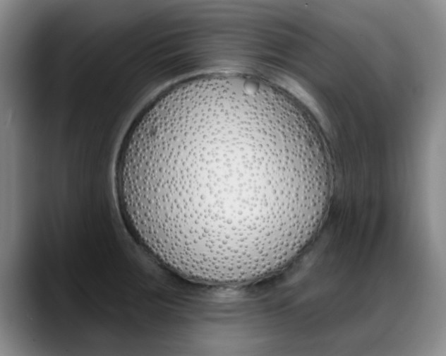 X0000089391283200706150924