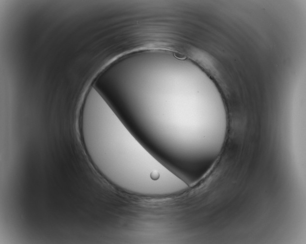 X0000089391284200706150924