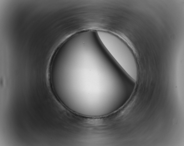X0000089391285200706150924