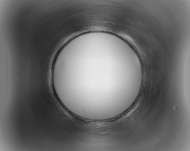 X0000089391286200706150924