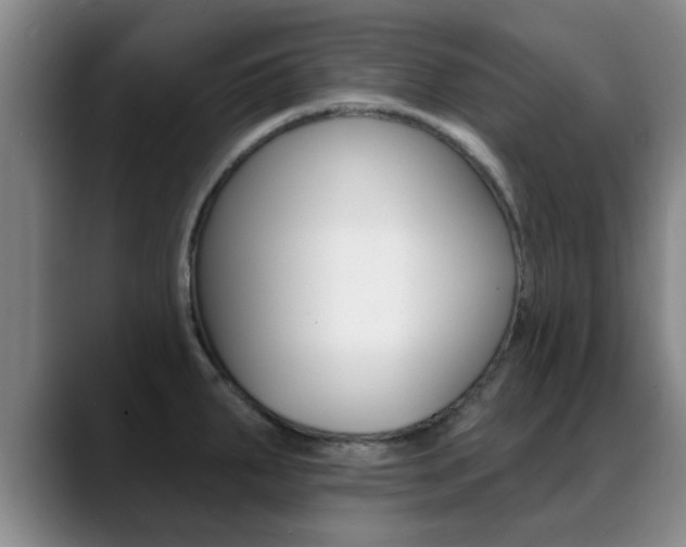 X0000089391287200706150924