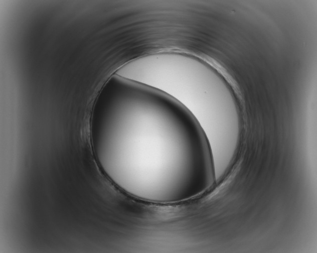 X0000089391289200706150924