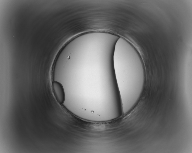 X0000089391291200706150924