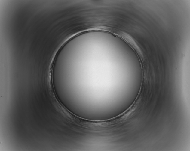 X0000089391292200706150924