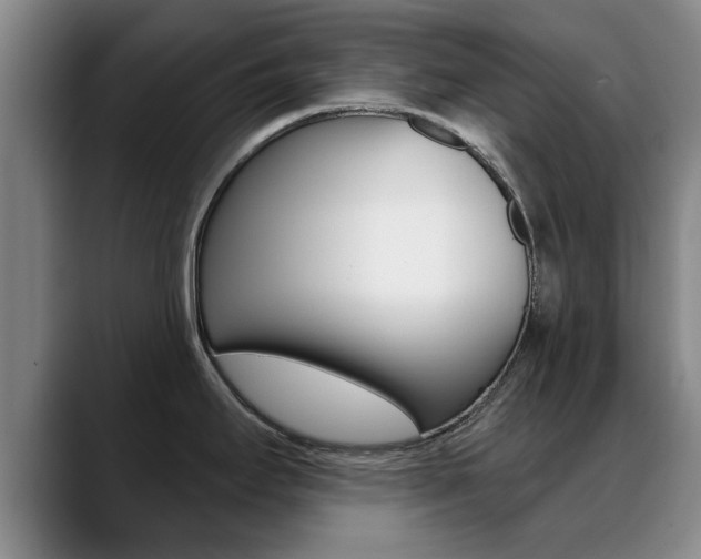X0000089391295200706150924
