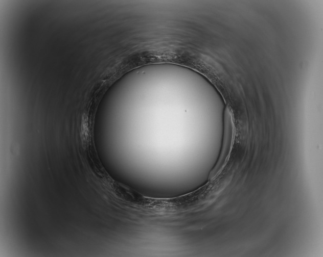 X0000089391298200706150923