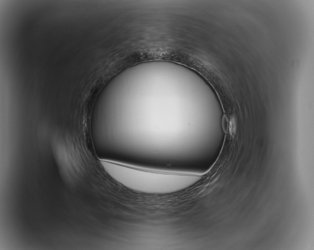 X0000089391299200706150923