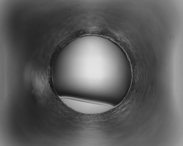 X0000089391301200706150923