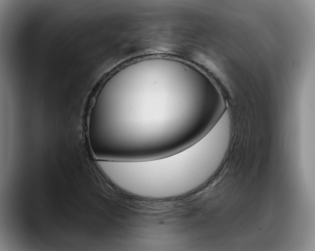X0000089391308200706150923